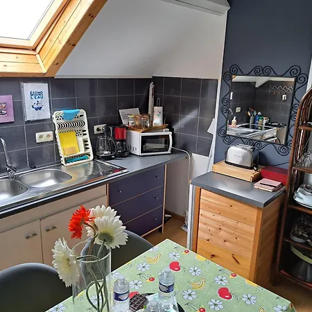 Nouvel Tres Confortable Avec Cuisine Et Frigo