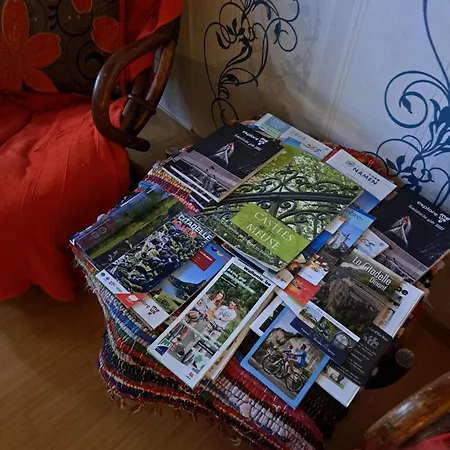 Need Is Dinant, Leffe, Maredsous And Anhee-sur-meuse * 안히