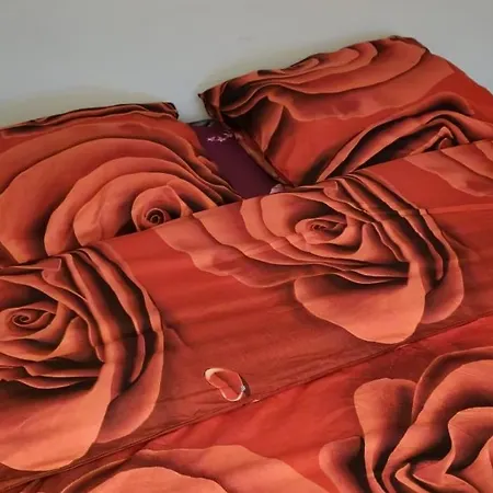 Need Is Dinant, Leffe, Maredsous And Anhee-sur-meuse * 안히